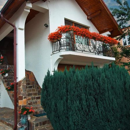 Casa Ade Villa Ocna Sugatag Luaran gambar