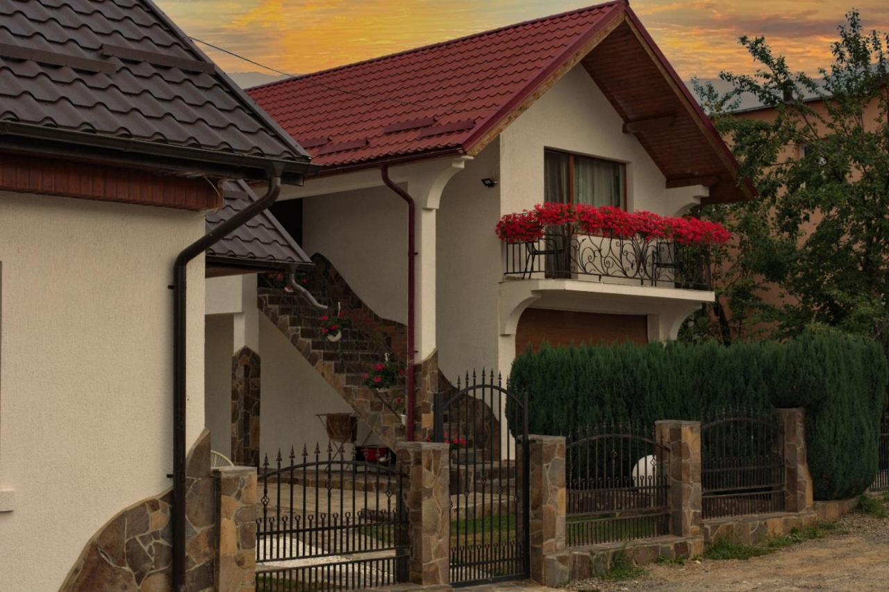 Casa Ade Villa Ocna Sugatag Luaran gambar