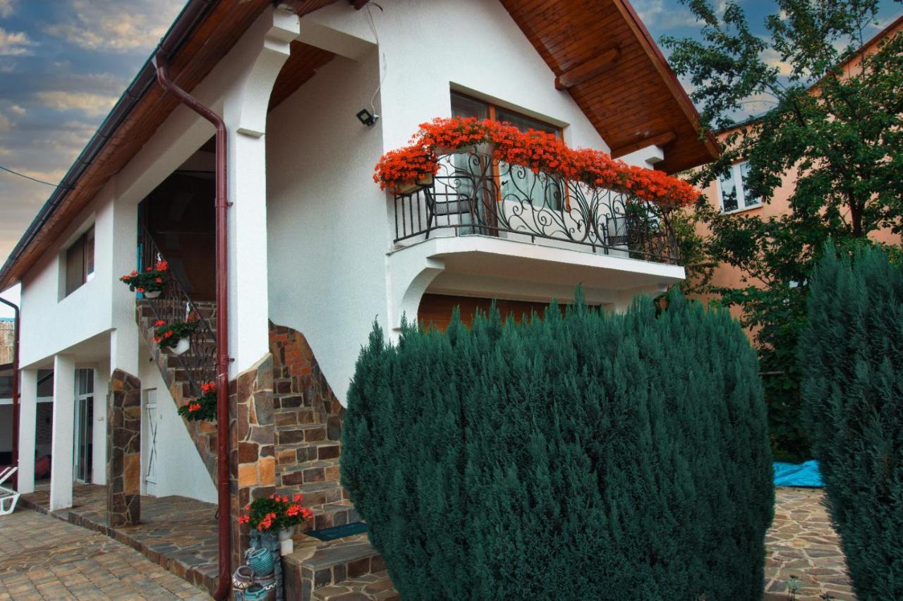 Casa Ade Villa Ocna Sugatag Luaran gambar