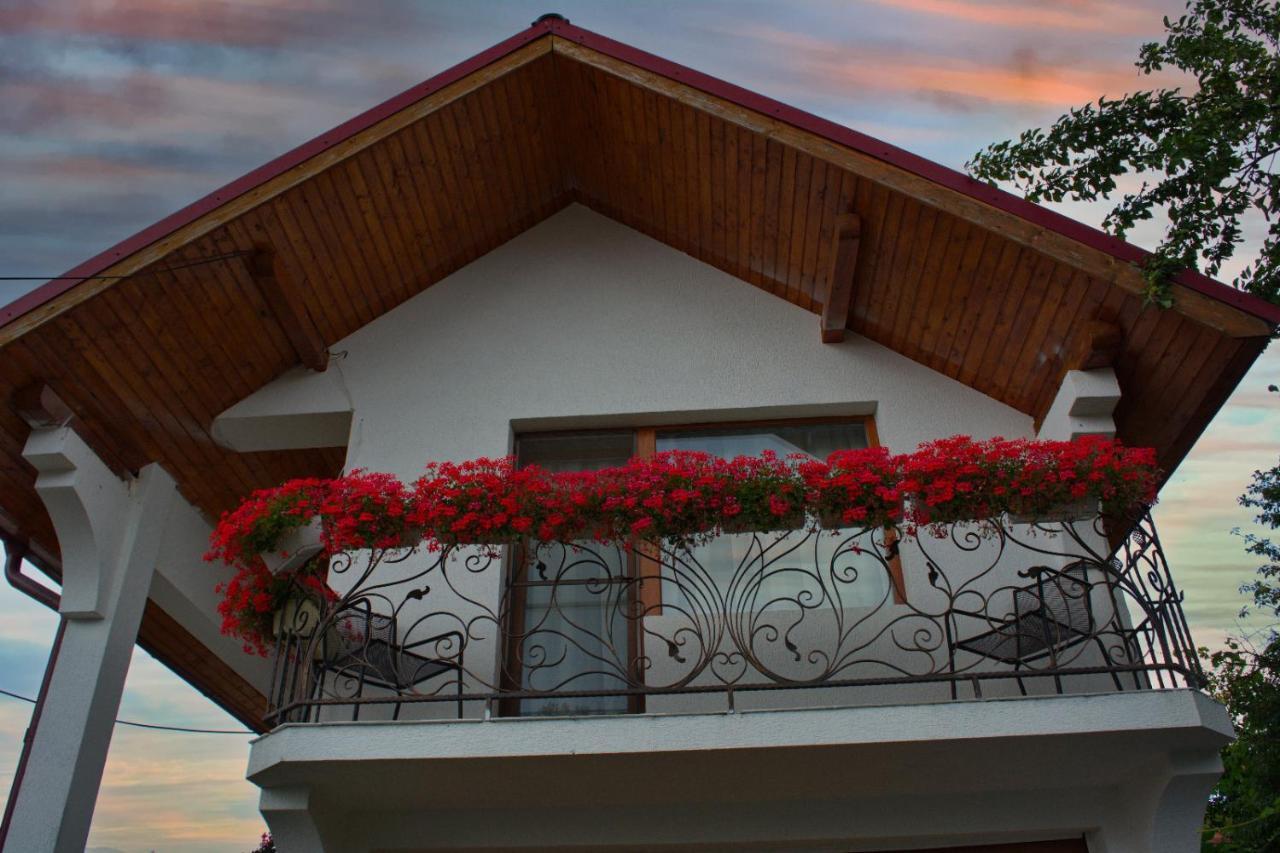 Casa Ade Villa Ocna Sugatag Luaran gambar